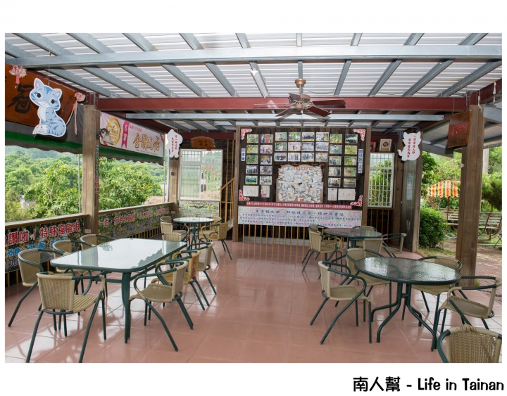 【台南東山區-美食】好山好水好風光│被日本山上出老師評鑑為頂級咖啡~~東香貓咖啡園區