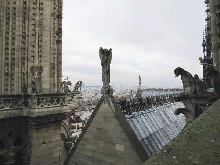 【Paris．走跳】巴黎聖母院尋找鐘樓怪人與莎士比亞老書店傳奇Notre-Dame