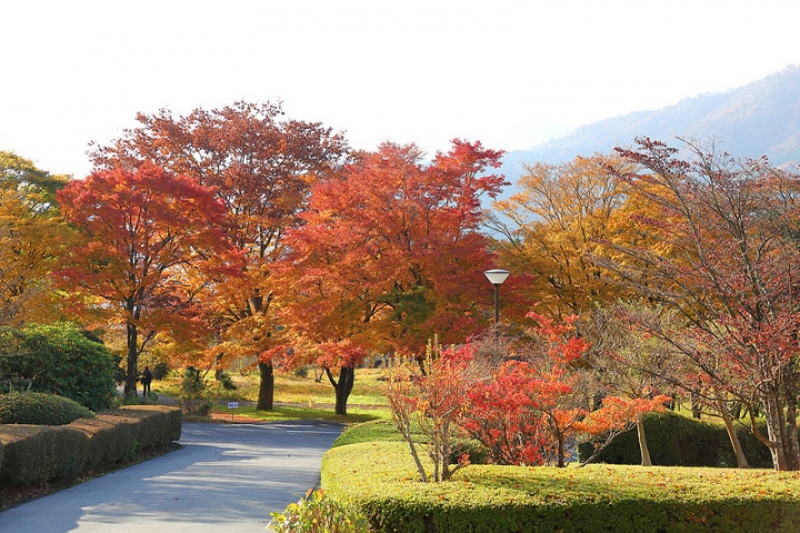【2016秋】低調但很有溫度的「小田急箱根湖酒店(Hakone Lake Hotel)」(小田急箱根レイクホテル)