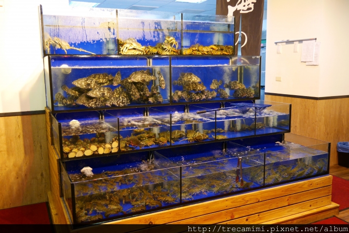【食記】新竹海之味關新店-蒸氣養生料理/新竹海鮮餐廳/活體水產現撈現蒸/高檔食材/龍蝦套餐/干貝粥