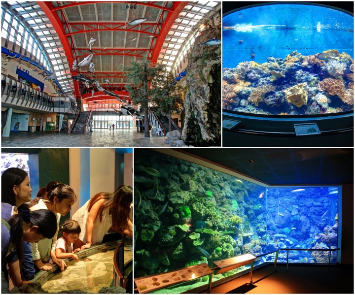 [墾丁秘境] 海生館後場的海角秘境