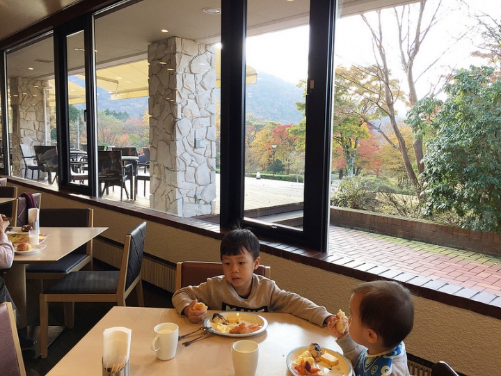 【2016秋】低調但很有溫度的「小田急箱根湖酒店(Hakone Lake Hotel)」(小田急箱根レイクホテル)