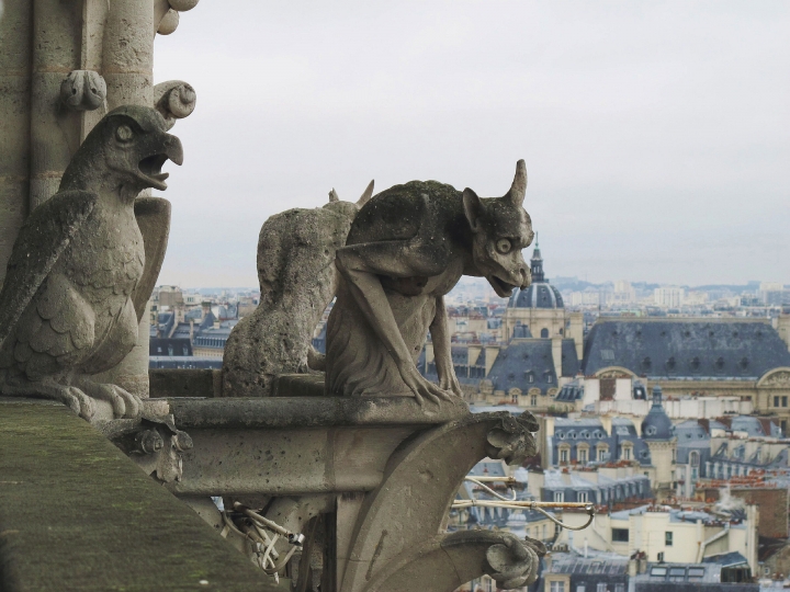 【Paris．走跳】巴黎聖母院尋找鐘樓怪人與莎士比亞老書店傳奇Notre-Dame
