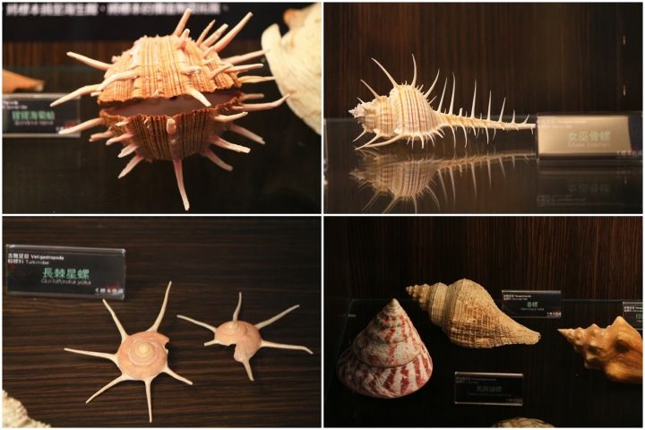 [墾丁秘境] 海生館後場的海角秘境