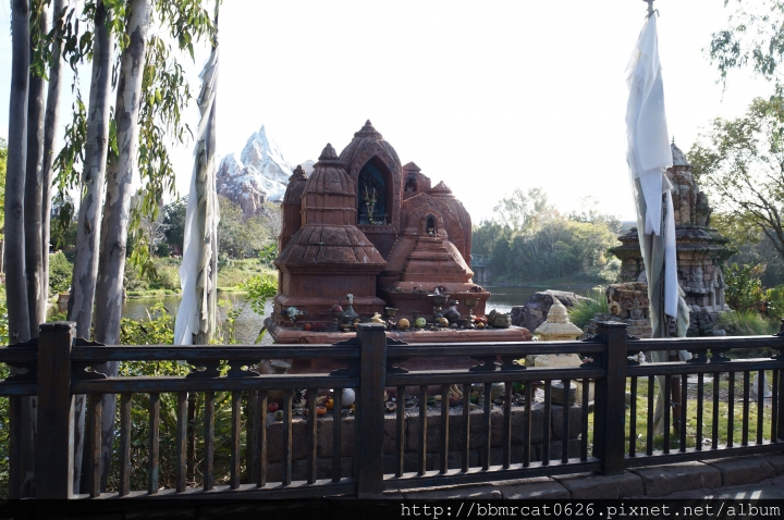 奧蘭多迪士尼世界 - Disney's Animal Kingdom 之動物的天堂