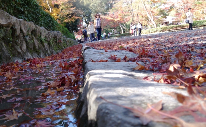 [京都]金閣寺(鹿苑寺)