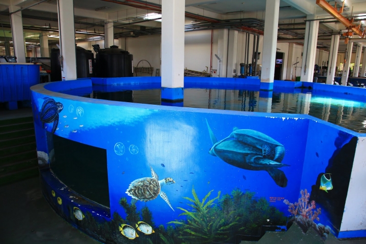 [墾丁秘境] 海生館後場的海角秘境