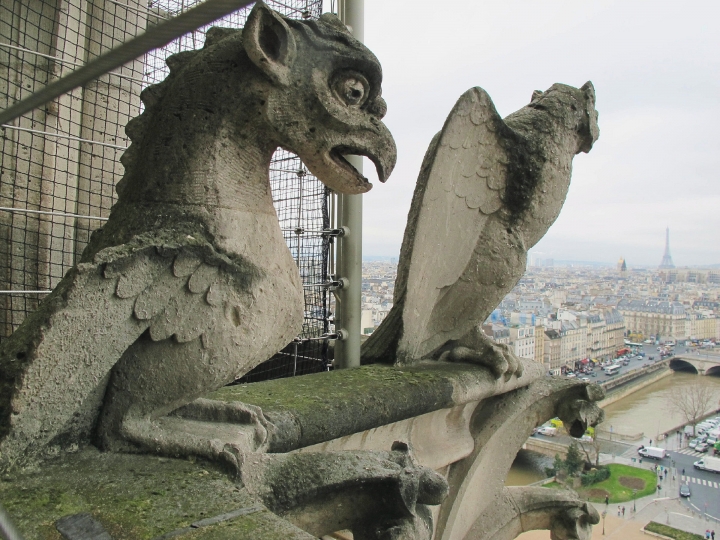 【Paris．走跳】巴黎聖母院尋找鐘樓怪人與莎士比亞老書店傳奇Notre-Dame
