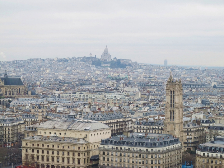 【Paris．走跳】巴黎聖母院尋找鐘樓怪人與莎士比亞老書店傳奇Notre-Dame