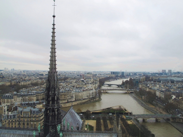 【Paris．走跳】巴黎聖母院尋找鐘樓怪人與莎士比亞老書店傳奇Notre-Dame