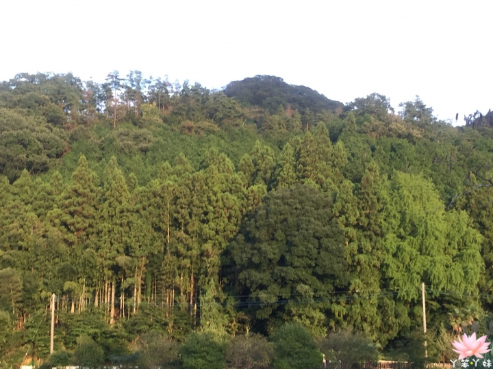 【日本・茨城縣・2016】袋田の滝－日本三大名瀑之一