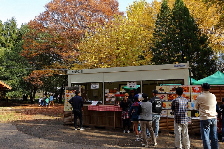 【2016關東】親子遊東京賞銀杏紅葉首選，到國營昭和紀念公園玩樂一整天