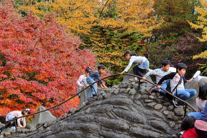 【2016關東】親子遊東京賞銀杏紅葉首選，到國營昭和紀念公園玩樂一整天