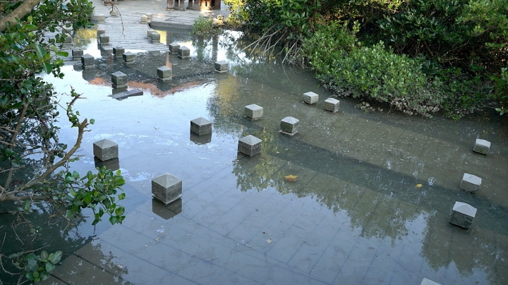 [台南][北門區] 雙春濱海遊憩區 綠色隧道x小忘憂森林星光帳篷（Vanaheim愛莊園）