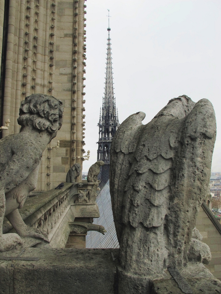 【Paris．走跳】巴黎聖母院尋找鐘樓怪人與莎士比亞老書店傳奇Notre-Dame