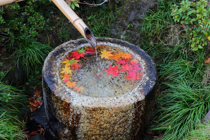 【2016關東】親子遊東京賞銀杏紅葉首選，到國營昭和紀念公園玩樂一整天