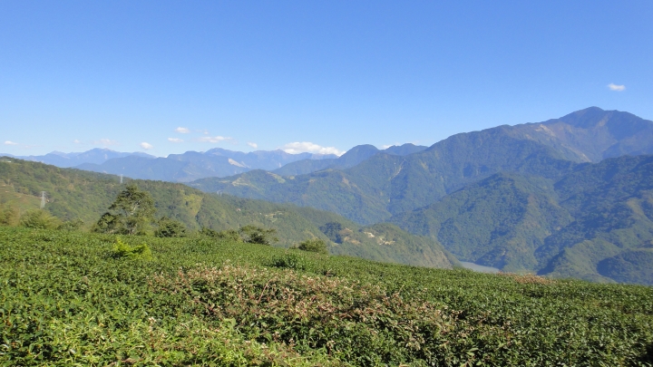 「神鵝瞎旅」之 武界林道 山碰壁
