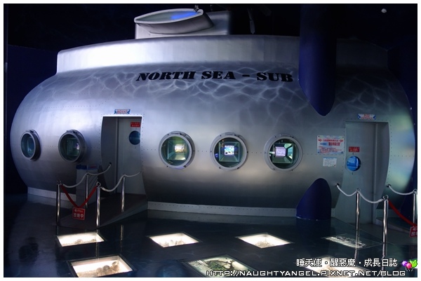 【無料景點】來「北海岸遊憩探索館」乘海破浪、生態探險吧!! (北海岸半日遊~石門婚紗廣場、富貴角燈塔、季節限定老梅綠石槽)