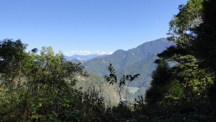 「神鵝瞎旅」之 武界林道 山碰壁