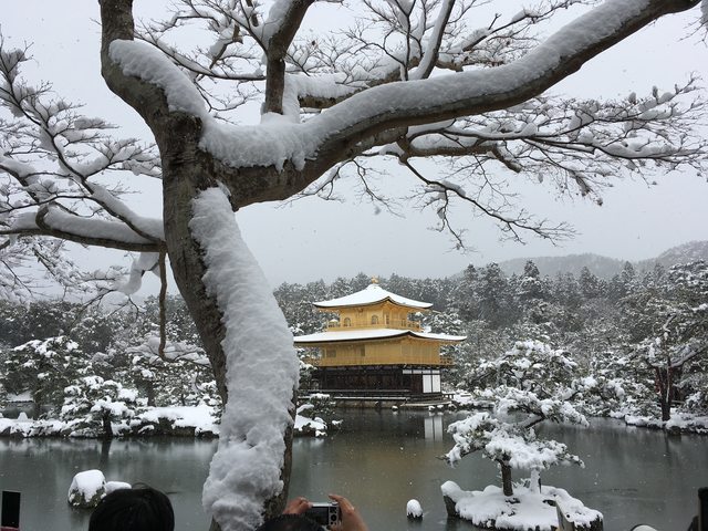 「京都景點」--雪化妝 金閣寺 ＋ 排隊名店魏飯夷堂
