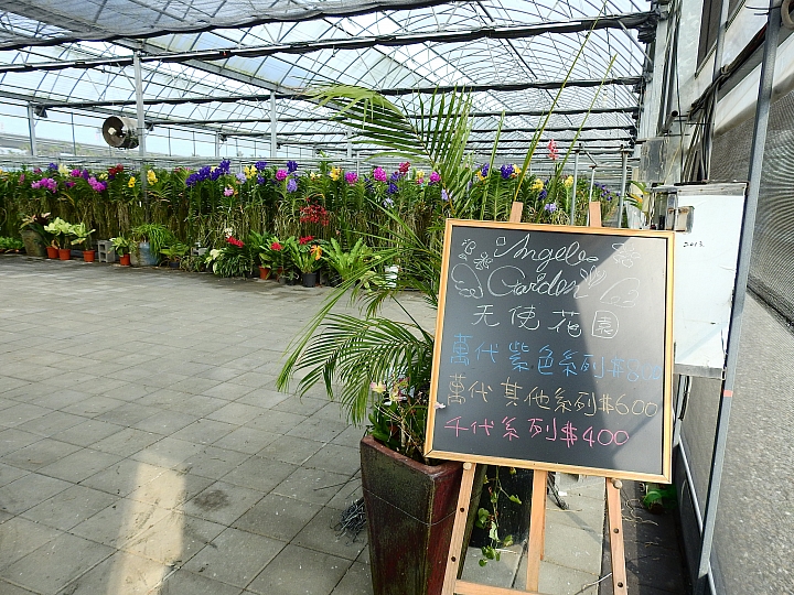 2017屏東熱帶植物博覽會增設天使花園蘭藝館，更繽紛美麗。