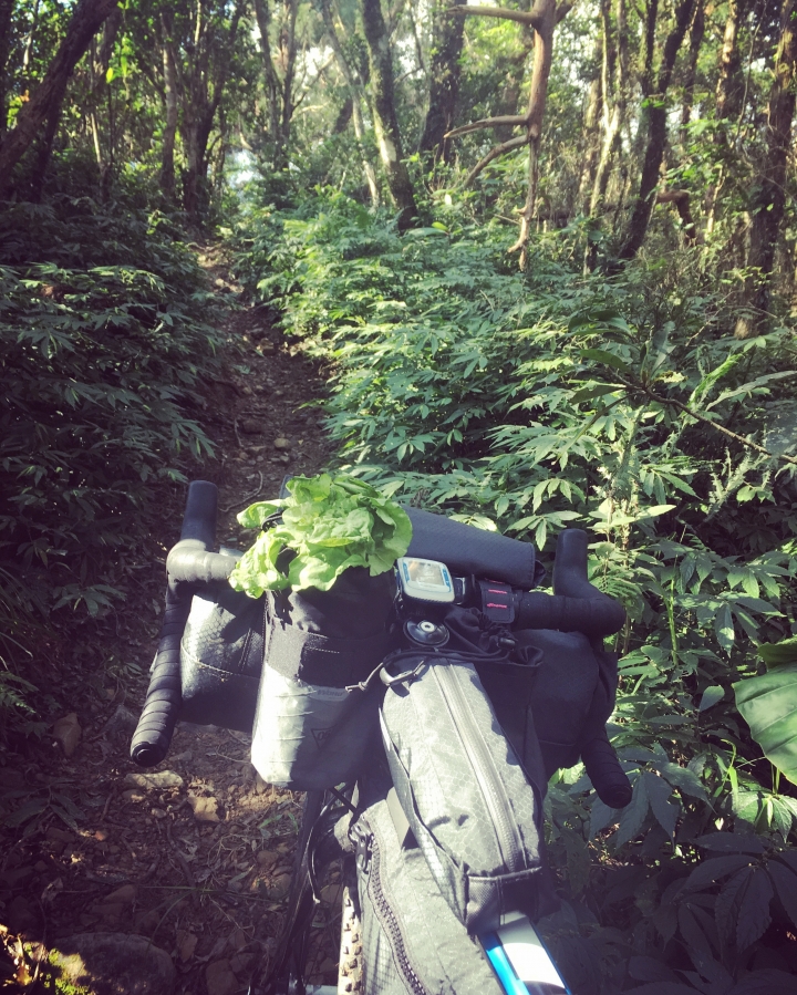 "流浪者日誌" - 坪溪古道 單車野營 bikepacking