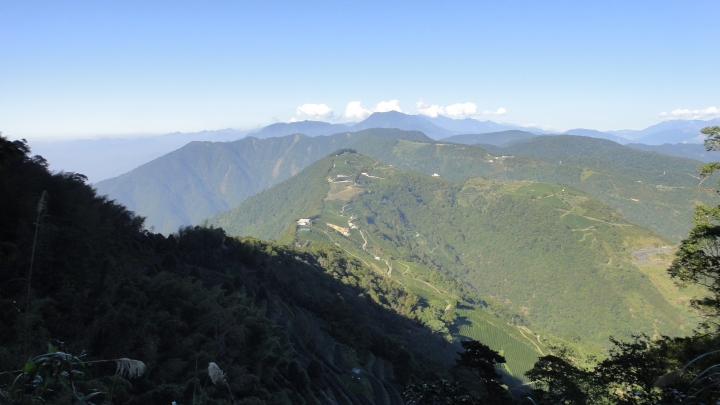 「神鵝瞎旅」之 武界林道 山碰壁