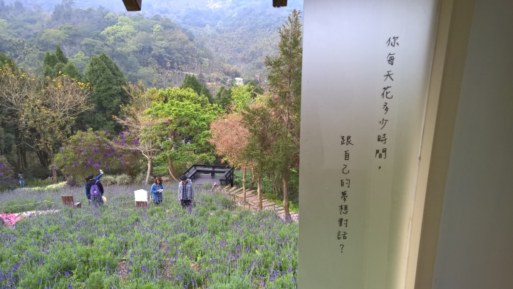 機車旅行-薰衣草森林