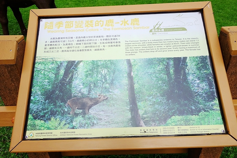 20161201~1215 阿里山、墾丁、綠島、武嶺放空之旅 (四) 台東、綠島、花蓮