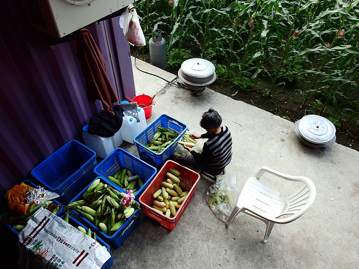2017屏東熱帶植物博覽會增設天使花園蘭藝館，更繽紛美麗。