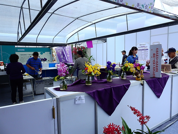 2017屏東熱帶植物博覽會增設天使花園蘭藝館，更繽紛美麗。