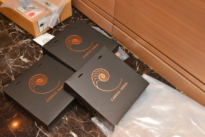 十年的等待,burmester 旗艦級系統開箱