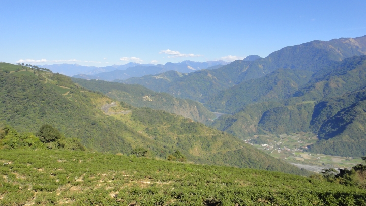 「神鵝瞎旅」之 武界林道 山碰壁