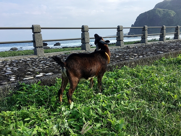 20161201~1215 阿里山、墾丁、綠島、武嶺放空之旅 (四) 台東、綠島、花蓮