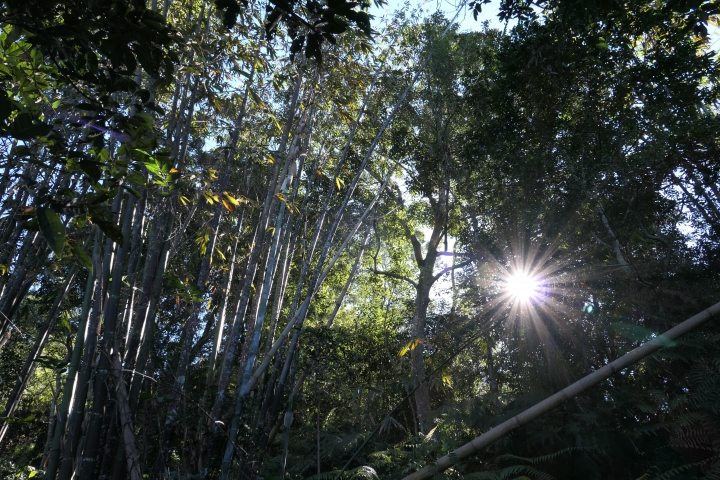 [開箱]：巧匠之作的Lumix LX10