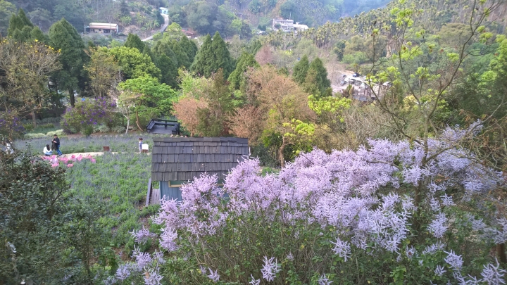 機車旅行-薰衣草森林