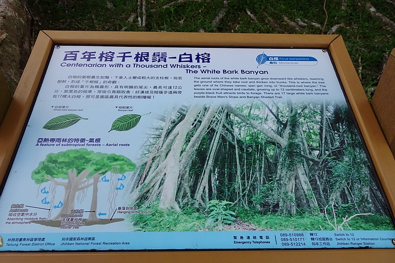 20161201~1215 阿里山、墾丁、綠島、武嶺放空之旅 (四) 台東、綠島、花蓮