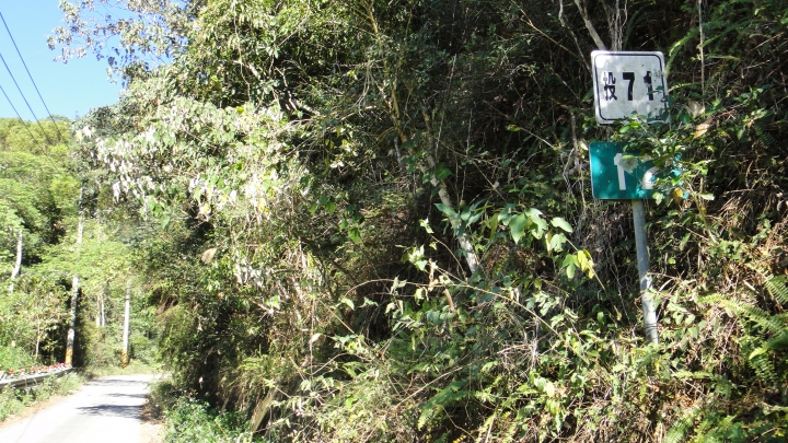 「神鵝瞎旅」之 武界林道 山碰壁