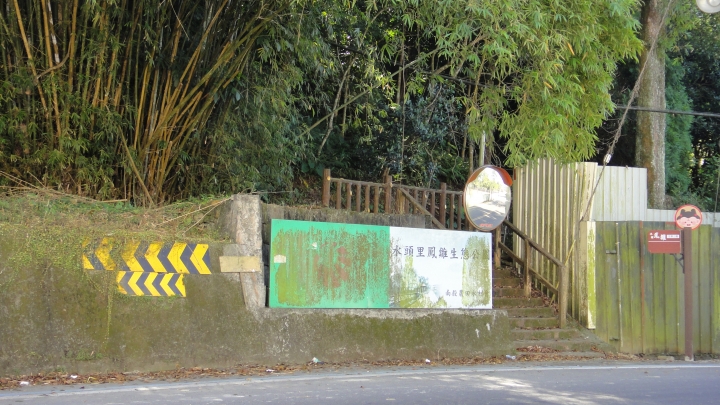 「神鵝瞎旅」之 武界林道 山碰壁