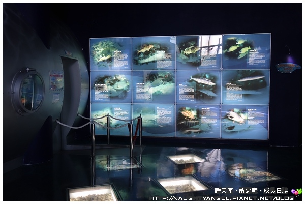 【無料景點】來「北海岸遊憩探索館」乘海破浪、生態探險吧!! (北海岸半日遊~石門婚紗廣場、富貴角燈塔、季節限定老梅綠石槽)
