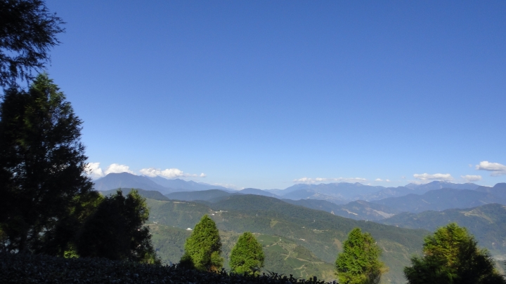 「神鵝瞎旅」之 武界林道 山碰壁