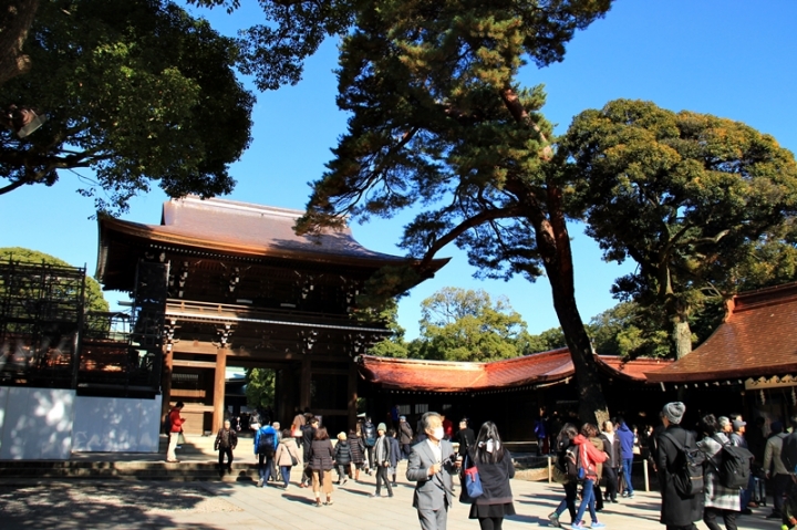 明治神宮 清正井 錯把美井當破井