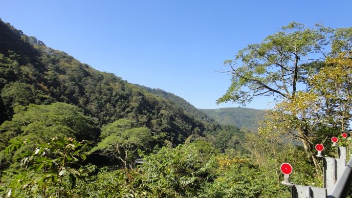 「神鵝瞎旅」之 武界林道 山碰壁