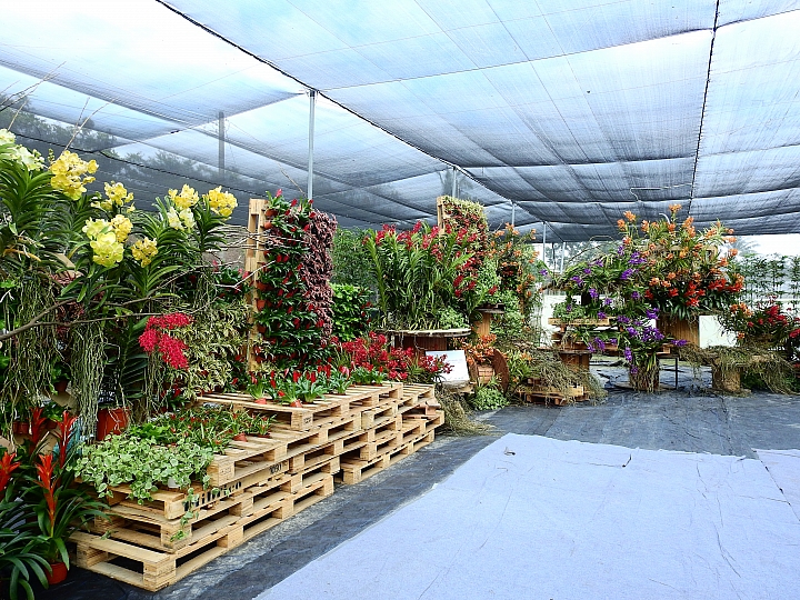 2017屏東熱帶植物博覽會增設天使花園蘭藝館，更繽紛美麗。