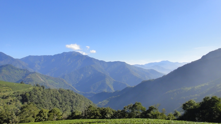 「神鵝瞎旅」之 武界林道 山碰壁
