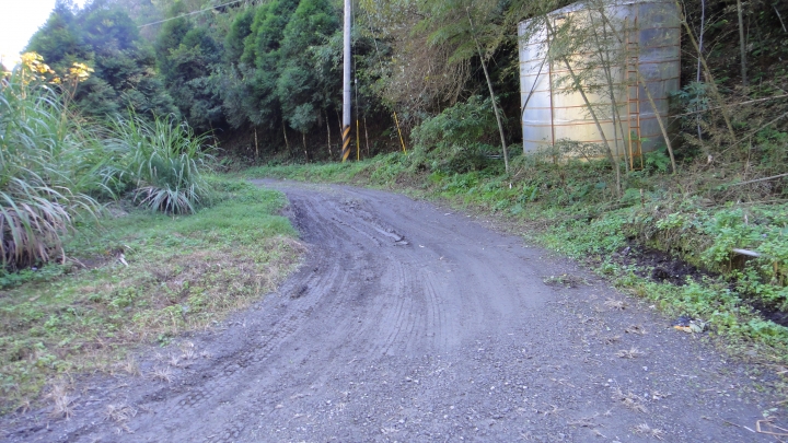 「神鵝瞎旅」之 武界林道 山碰壁
