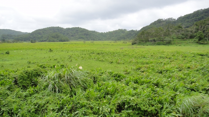 「神鵝瞎旅」環島游之Day3  屏東恆春-台東達仁
