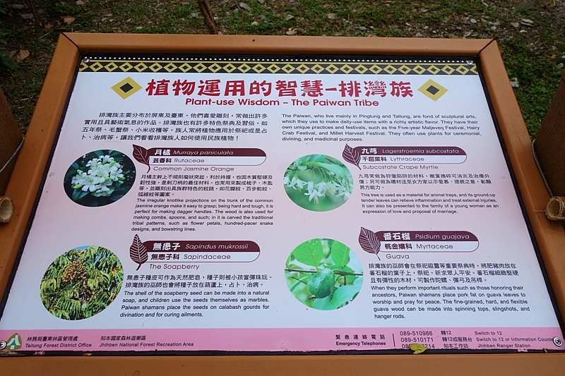 20161201~1215 阿里山、墾丁、綠島、武嶺放空之旅 (四) 台東、綠島、花蓮