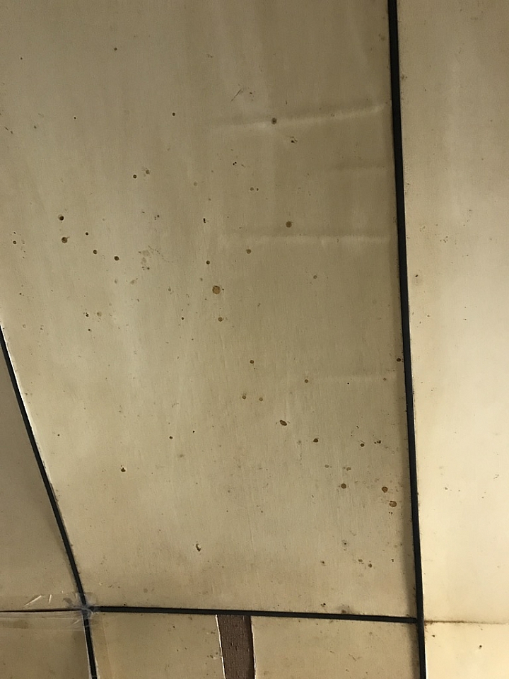 想請問該如何救救我的木天花板跟木牆壁？