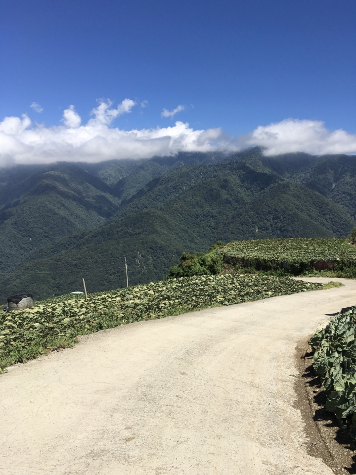 CB400 合歡山露營趣